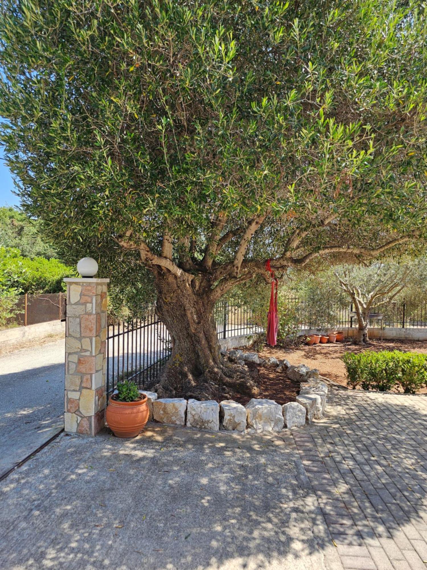 Natura Studios Antipata  Exterior photo