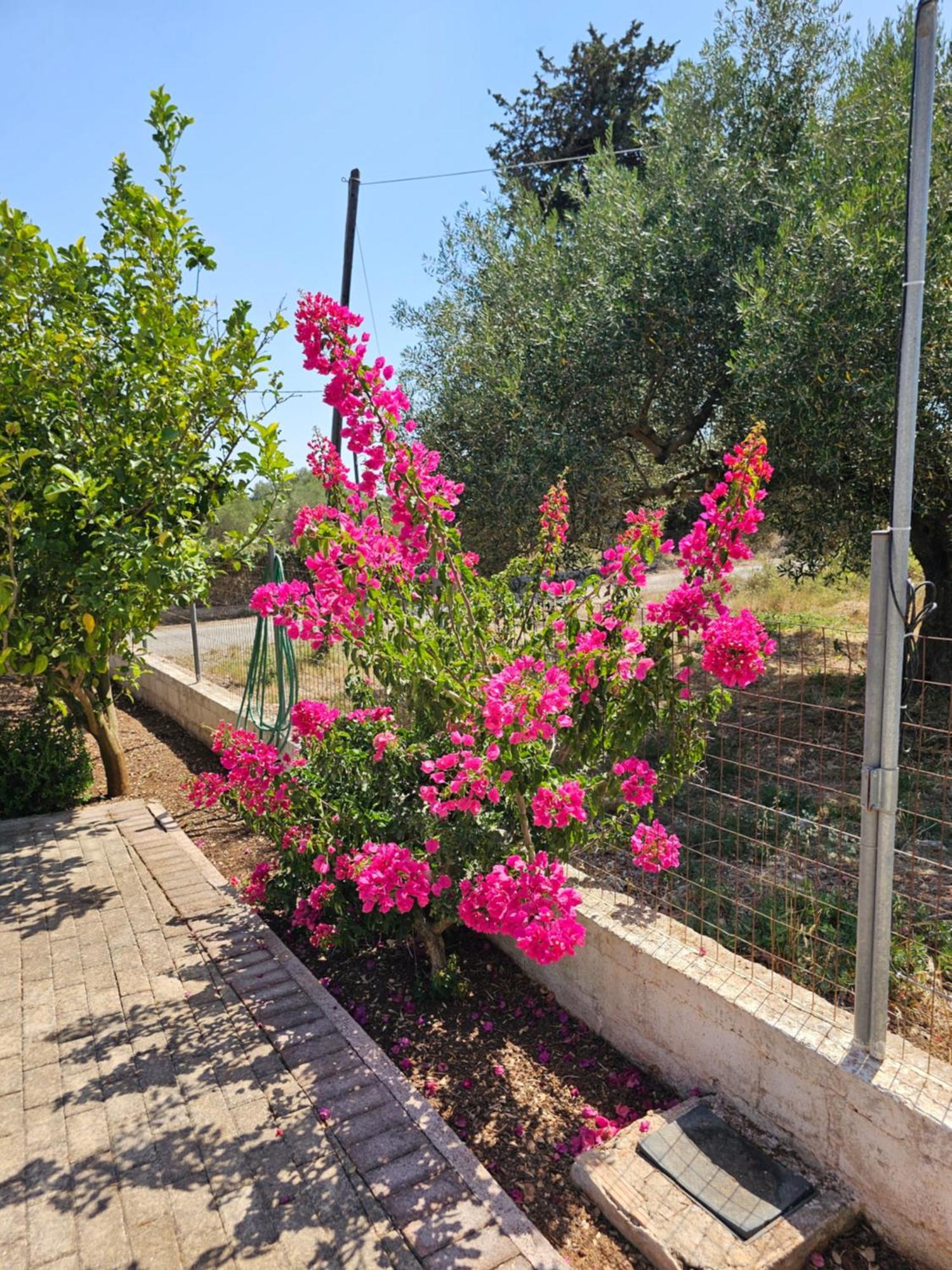 Natura Studios Antipata  Exterior photo